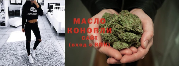 индика Беломорск