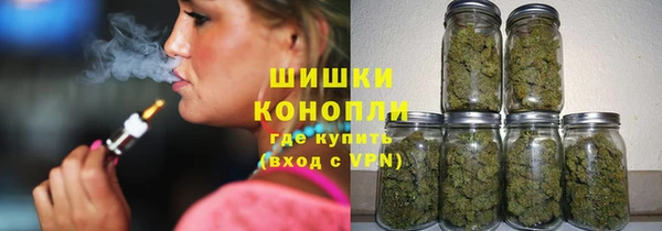 индика Беломорск