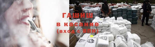 индика Беломорск