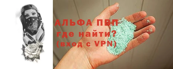 индика Белоозёрский