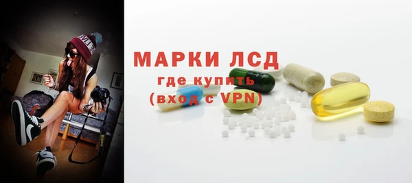 индика Беломорск