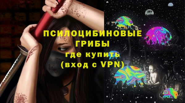 индика Беломорск