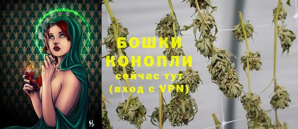 индика Белоозёрский
