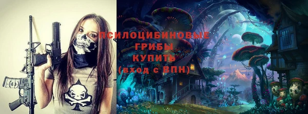 ПСИЛОЦИБИНОВЫЕ ГРИБЫ Алзамай
