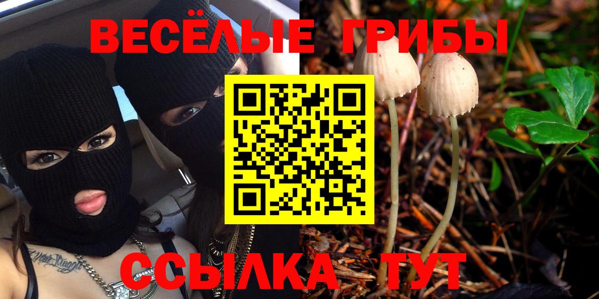 Псилоцибиновые грибы мухоморы Петропавловск-Камчатский