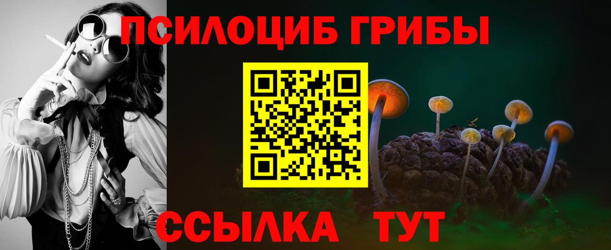 Галлюциногенные грибы Psilocybine cubensis  наркота  Петропавловск-Камчатский  Вход с VPN 